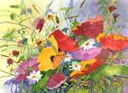 'Irish Wild Flowers'