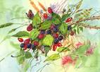 'Blackberries'