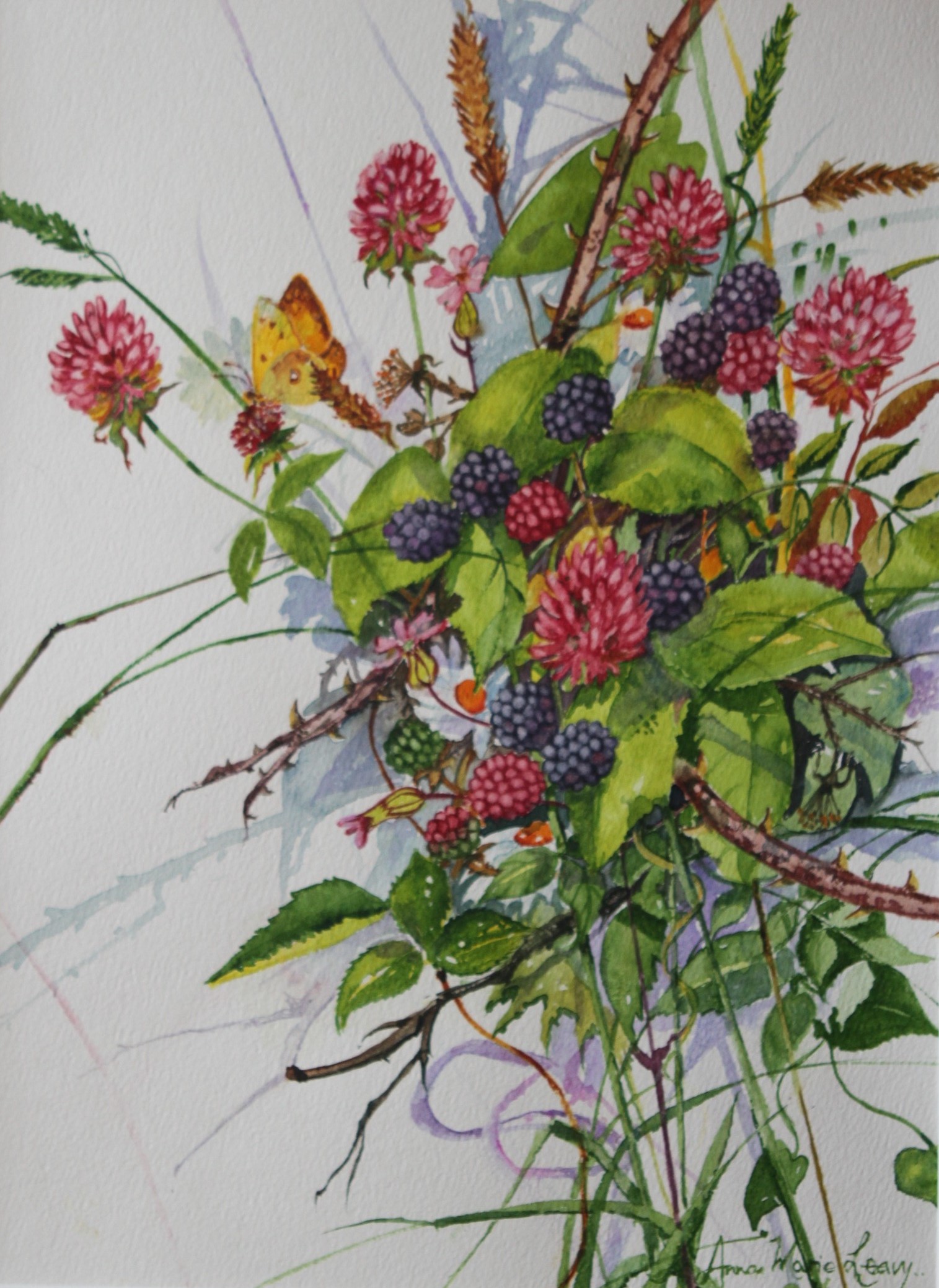 Blackberries in the Hedgerow, Watercolour by Anna Marie Leavy