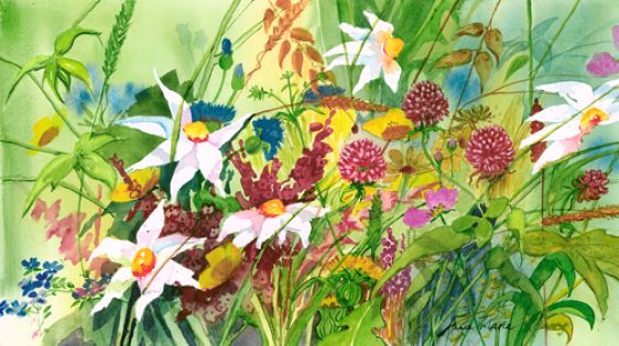 'Protected' Limited Edition Print