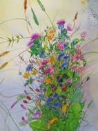 'Wild Hedgerow Flowers'